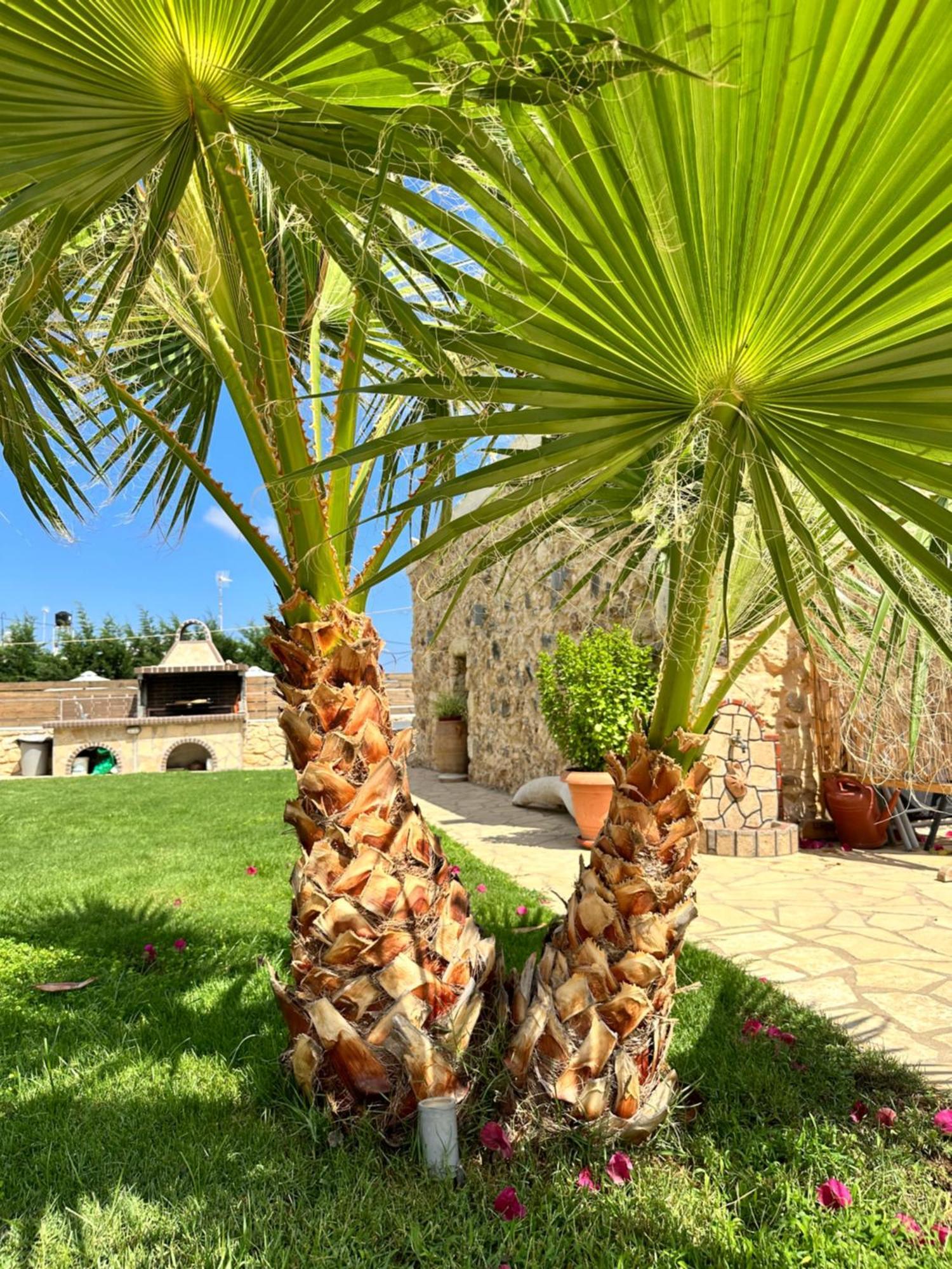 Bio Garden Stonehouse Villa Gonia Bagian luar foto