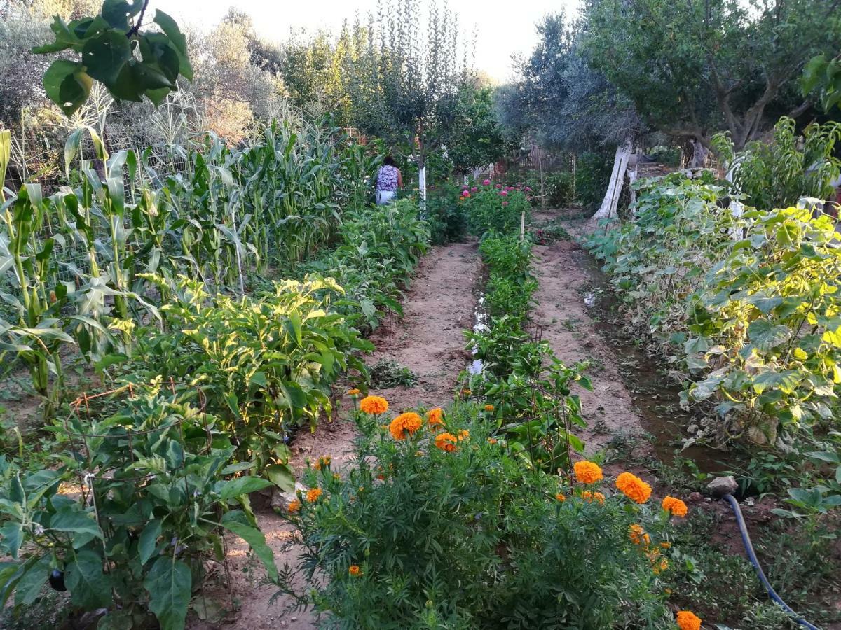 Bio Garden Stonehouse Villa Gonia Bagian luar foto